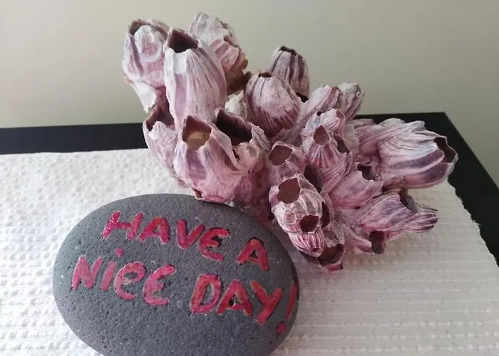 Matriz ゲストハウス 4*