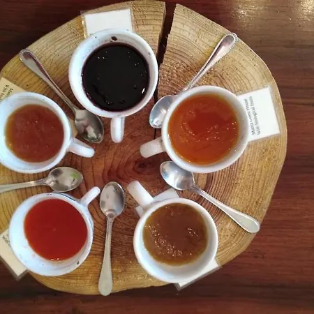 Maison d'hôtes Matriz