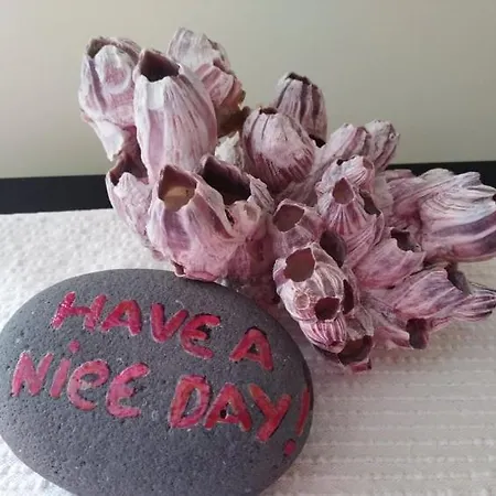 Matriz Maison d'hôtes 4*